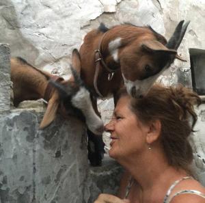 Carolyn Sheather Nuzzling Goats Uzes France